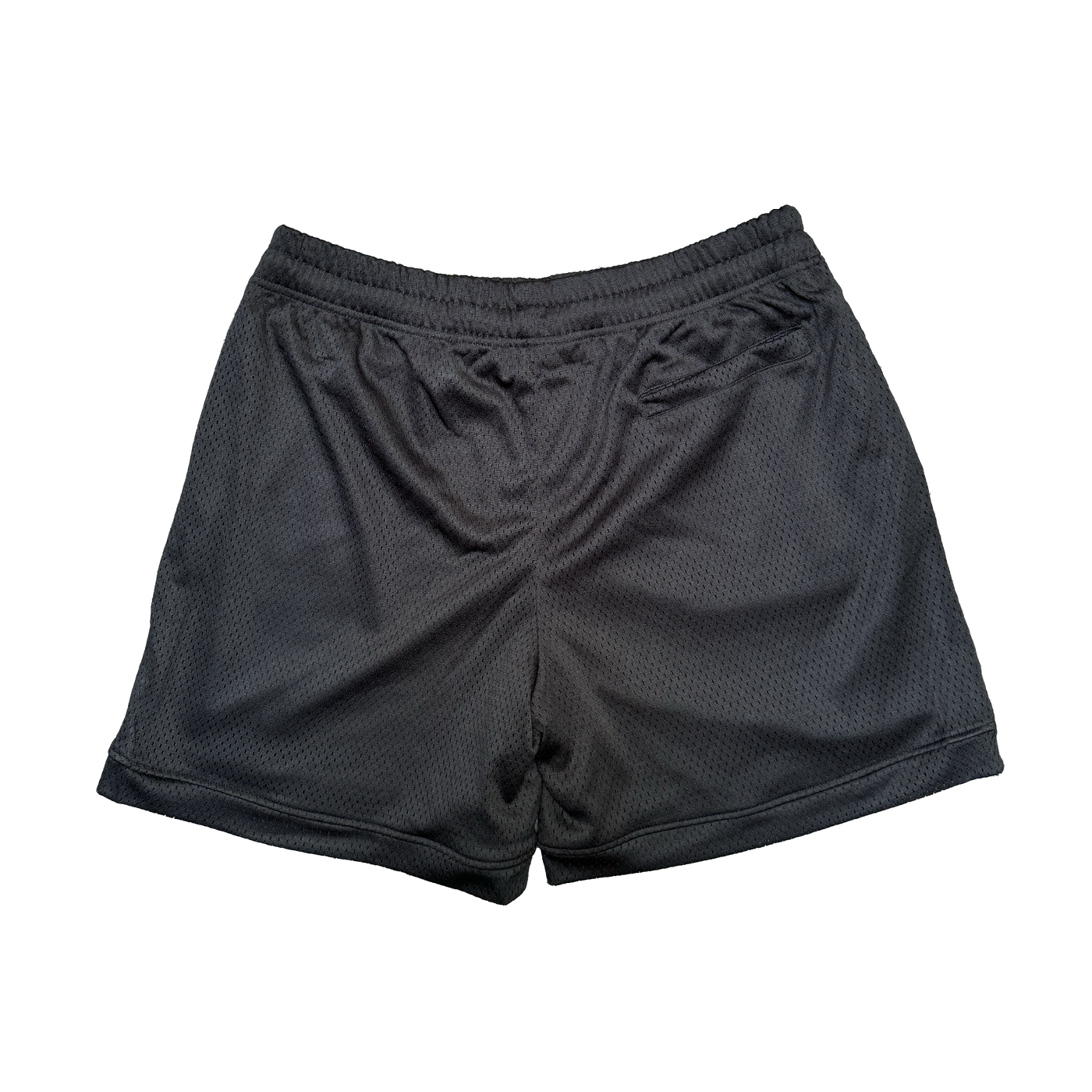 SHOW OUT Mesh Shorts