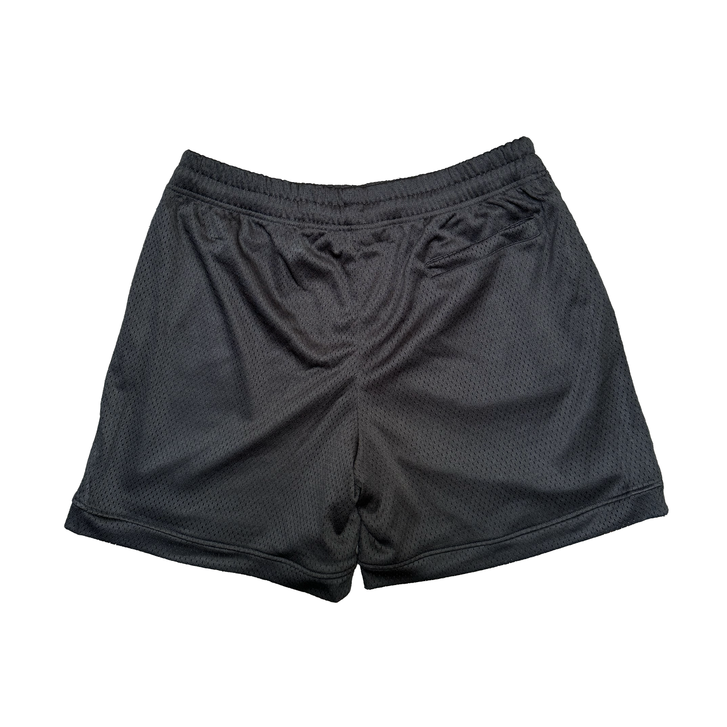 SHOW OUT Mesh Shorts
